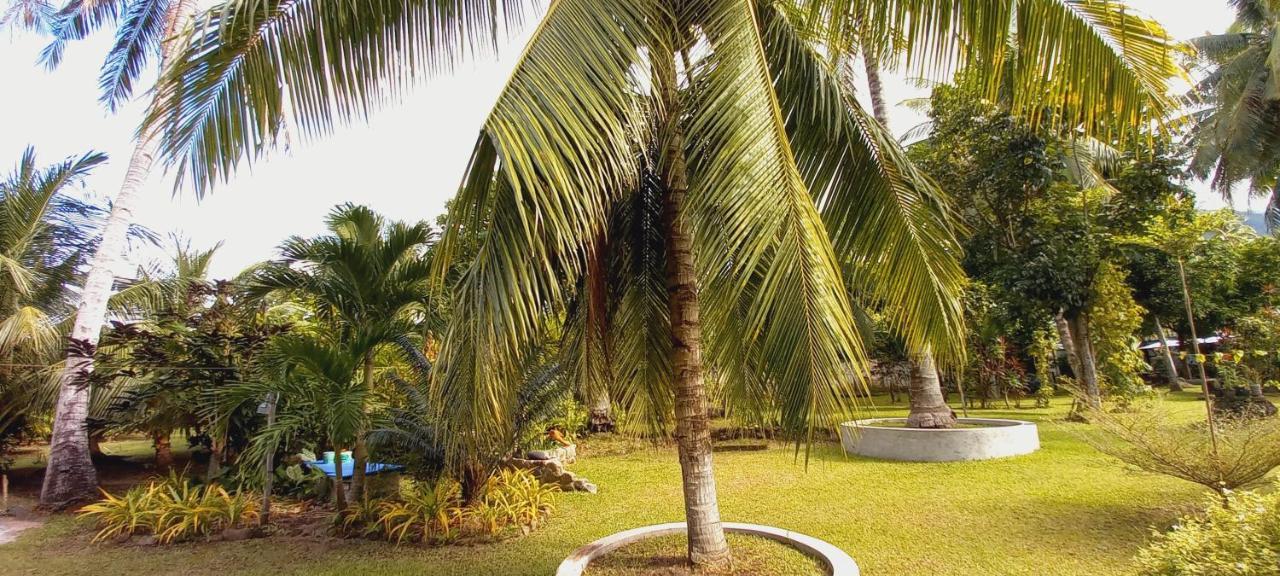Bat Tree Cottages Agoho Exterior photo